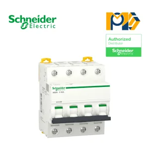 MCB Acti9 iK60N A9K24450