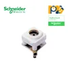 Ổ TV Schneider 30TV75MS_G19
