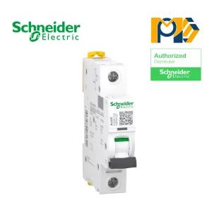 Aptomat tép MCB Schneider A9F84125 iC60H