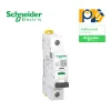 Cầu dao tự động MCB A9F74106 Acti9 iC60N Schneider
